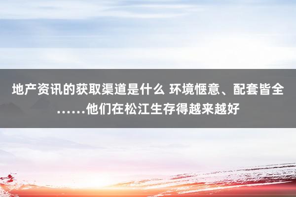 地产资讯的获取渠道是什么 环境惬意、配套皆全……他们在松江生存得越来越好