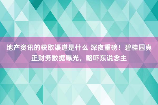 地产资讯的获取渠道是什么 深夜重磅！碧桂园真正财务数据曝光，略吓东说念主