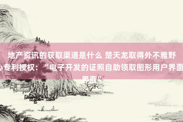 地产资讯的获取渠道是什么 楚天龙取得外不雅野心专利授权：“电子开发的证照自助领取图形用户界面”