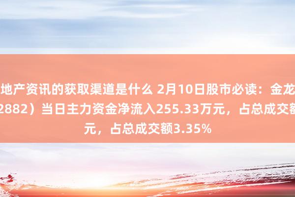 地产资讯的获取渠道是什么 2月10日股市必读：金龙羽（002882）当日主力资金净流入255.33万元，占总成交额3.35%