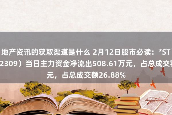 地产资讯的获取渠道是什么 2月12日股市必读：*ST中利（002309）当日主力资金净流出508.61万元，占总成交额26.88%