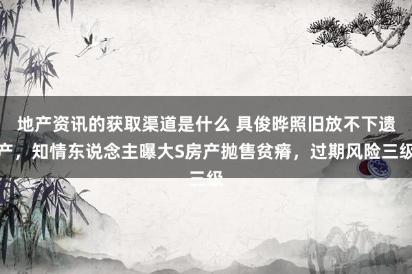 地产资讯的获取渠道是什么 具俊晔照旧放不下遗产，知情东说念主曝大S房产抛售贫瘠，过期风险三级